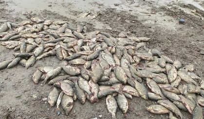 Döküm alanına çevrilen gölde korkutan manzara