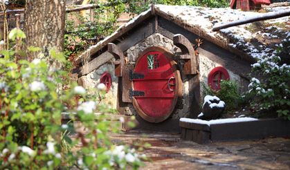 'Ormanya' beyaz örtüyle kaplandı