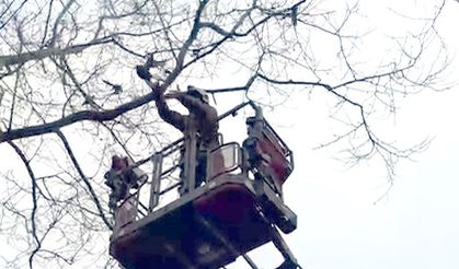 Ayağına ip dolanan güvercin için itfaiye seferber oldu