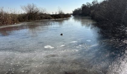 Tunca Nehri ve gölet buz tuttu