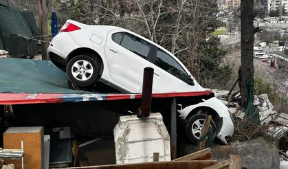 Vitesleri karıştırdı, kamelyanın üstüne uçtu