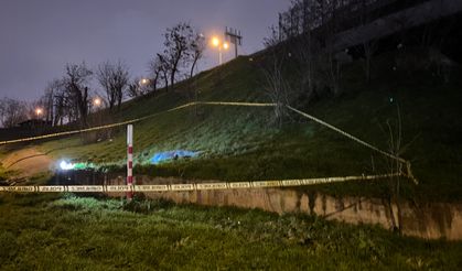 Otoyol kenarında erkek cesedi bulundu