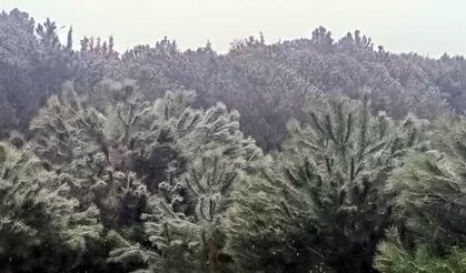Yüksek kesimlerde kar yağışı etkisini sürdürüyor