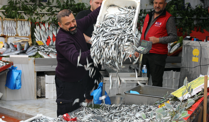 Hamsinin fiyatını görenler kilo kilo aldı!