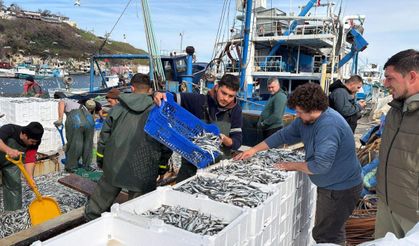 6 saatte 30 ton hamsi ile limana dönüldü