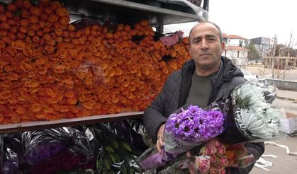 Hollanda’dan gelen güller 45 şehre dağıtılmaya başlandı!