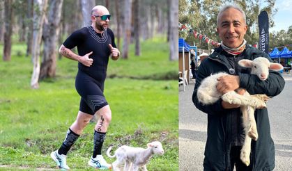 Parkura giren kuzu, renkli görüntüler yaşattı