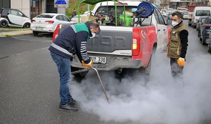 Haşere ve böceklere karşı yoğun mücadele