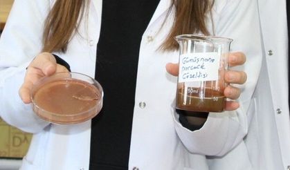 Çay atığından antibakteriyel ürün geliştirdiler