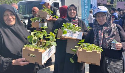 Beykoz'da 1 milyon 700 bin fide toprakla buluşuyor