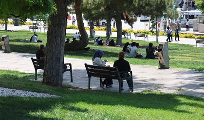 Uzmanlardan, "Kene" uyarısı