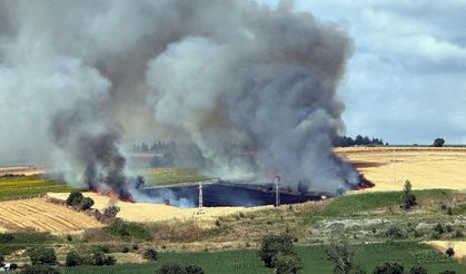 Alevler buğday tarlasını sardı, 100 dekar alan kül oldu