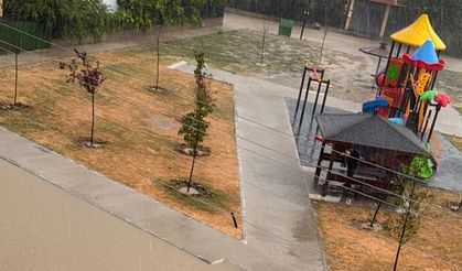 Sağanak ve fırtına; ağaçlar devrildi