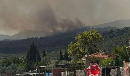 Çanakkale'de arazi yangını