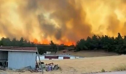 Çanakkale'de orman yangını