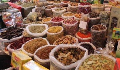 Havalar değişti, aktarlarda hareketlilik başladı
