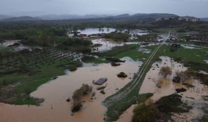 Ağva'da dere taştı; yollar, tarım arazileri ve evler su içinde kaldı