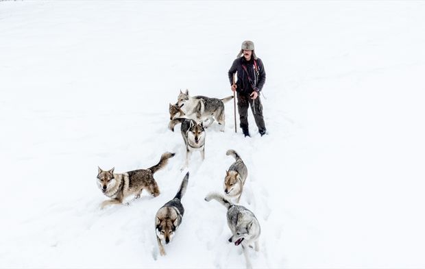 Doğada hayvanlarla yeni bir hayat kurdu