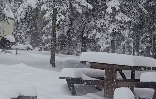 Kar yağışı doğayı beyaza bürüdü