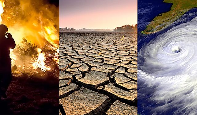 İklim değişikliği hayatı nasıl etkiledi? Google'dan Dünya Günü'ne özel Doodle...