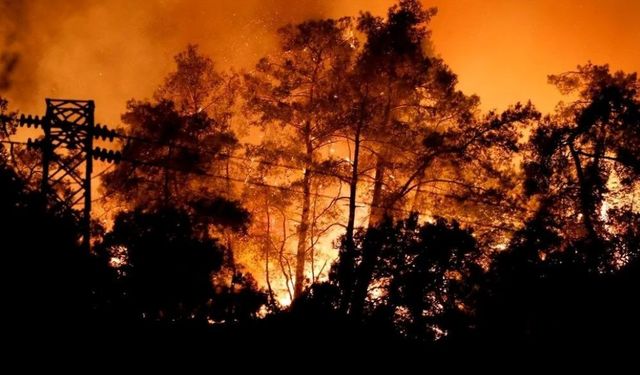 Antalya Kemer'deki orman yangınında son durum! Hava kararınca yürekler dağlandı