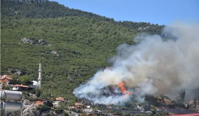 İzmir'deki 3 ayrı noktada çıkan orman yangını korkuttu: İzmir-Çeşme çevre yolu kısa süreli kapatıldı