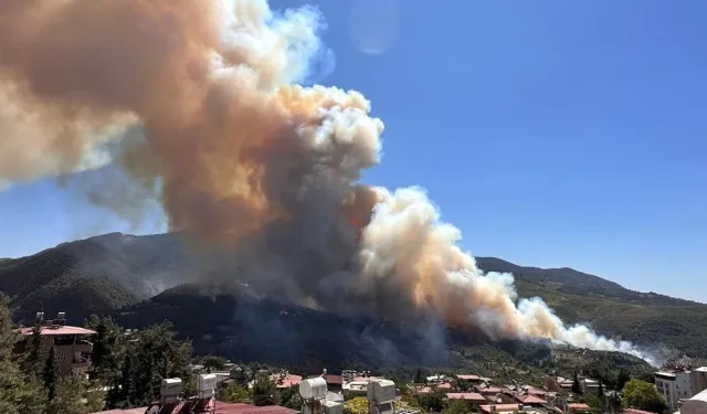 Türkiye orman yangınları ile boğuşuyor: Hatay'da bazı evler tahliye edildi!