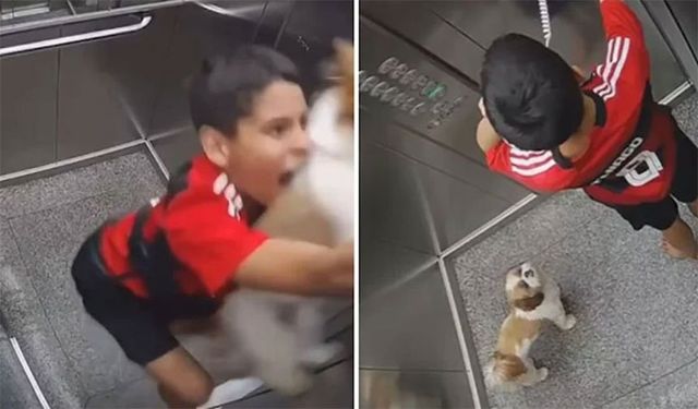 11 yaşındaki çocuk, tasması asansör kapısına sıkışan köpeğini boğulmaktan kurtardı! Video sosyal medyada gündem oldu