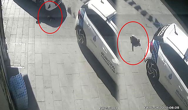 Beyoğlu'nda İBB aracının kediyi ezme anı görüntüleri