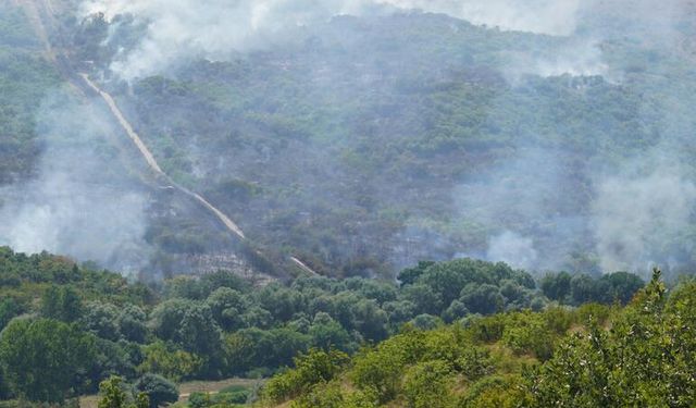 Edirne ve Adana’da orman yangını: Havadan ve karadan müdahale sürüyor