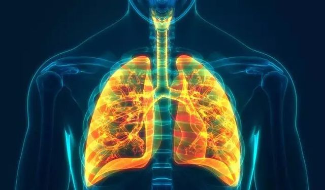 "Akciğer temizliği KOAH şikayetlerinin azalmasını sağlayabilir"