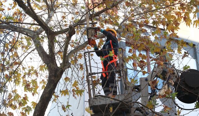 Bağcılar’da budanan dallar geri dönüşüme kazandırılıyor