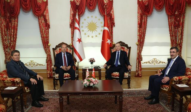 Cumhurbaşkanı Erdoğan, Ersin Tatar ile görüştü 