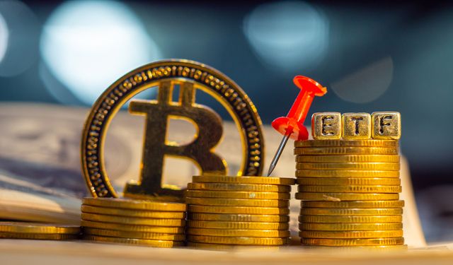 “Bitcoin ETF yatırımı, fiyat üzerine spekülasyon anlamına geliyor"
