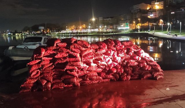 Beyoğlu'nda kaçak avlanılmış 3 ton midye ele geçirildi: 2 gözaltı
