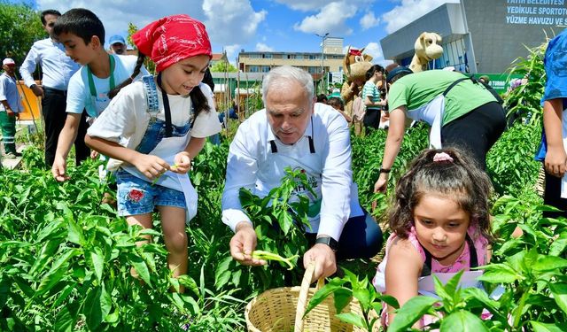 Ayvansaray ve Yedikule Bahçelerinde çocuklar, meyve ve sebze hasadına katıldı