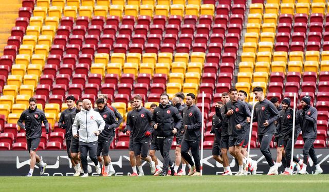 A Milli Futbol Takımı, Macaristan maçına hazır