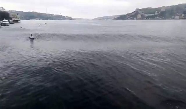 Deprem esnasında İstanbul Boğazı’nda oluşan dalgalar görüntülendi