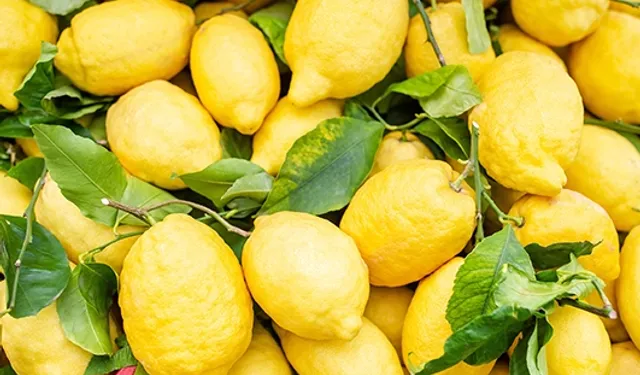 İstanbul’da Nisan ayında en çok limon pahalandı