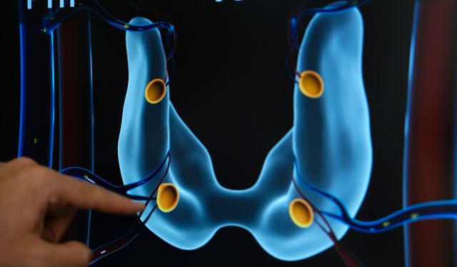 ‘Paratiroid bezi hastalıkları kemik erimesine yol açabilir’