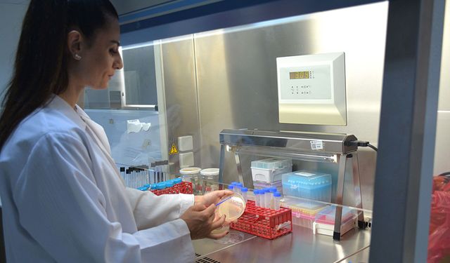 Kuzey Kıbrıs'tan dünya literatürüne: Yeni virüs türü Alasiavirus keşfedildi