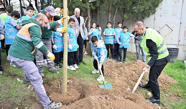 Gaziosmanpaşa'da 1 haftada toplanan 2 ton atık 40 ağacın hayatını kurtardı