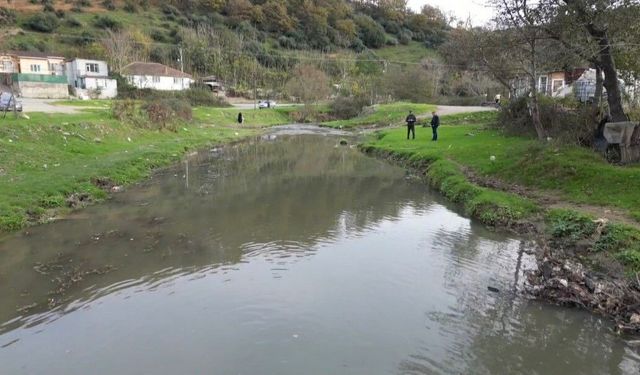 Eyüpsultan'daki gölde balık ölümleri yaşandı