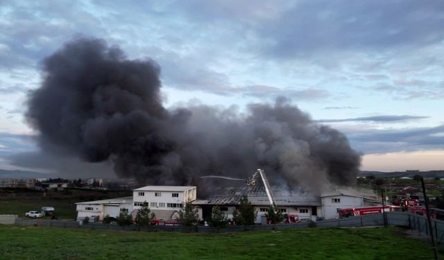 Tuzla’da kauçuk fabrikasında korkutan yangın