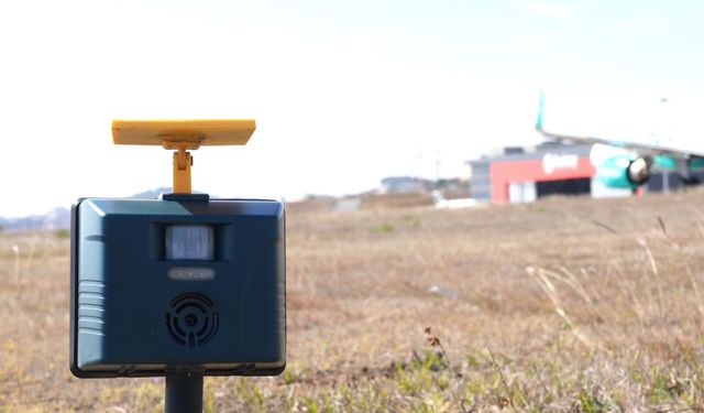 İstanbul ve Sabiha Gökçen havalimanlarında kuş sürüleri için ornitologlar görev başında