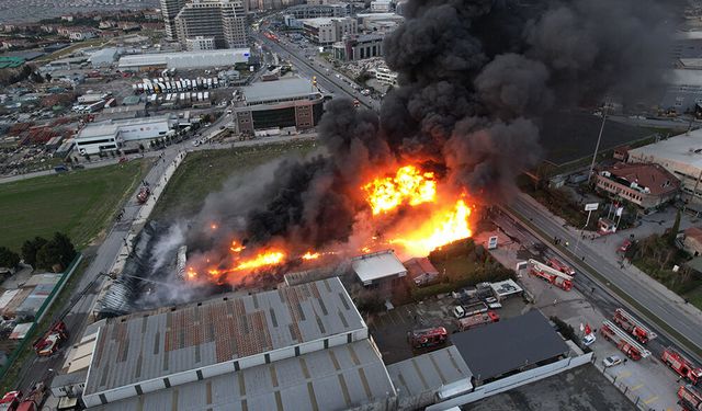 Büyükçekmece'de korkutan yangın