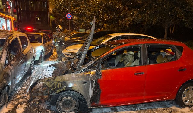 Park halindeki 4 otomobil alev alev yandı