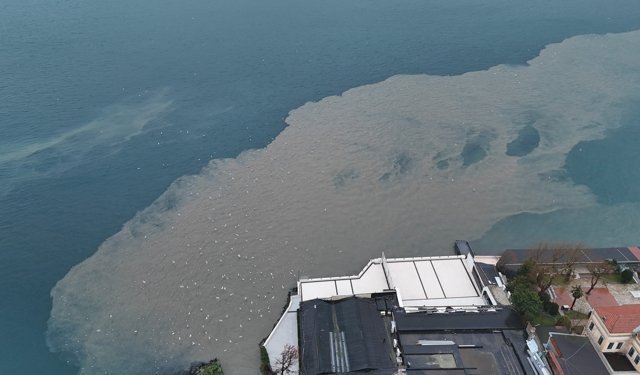 Sahilde oluşan kirlilik gün yüzüne çıktı