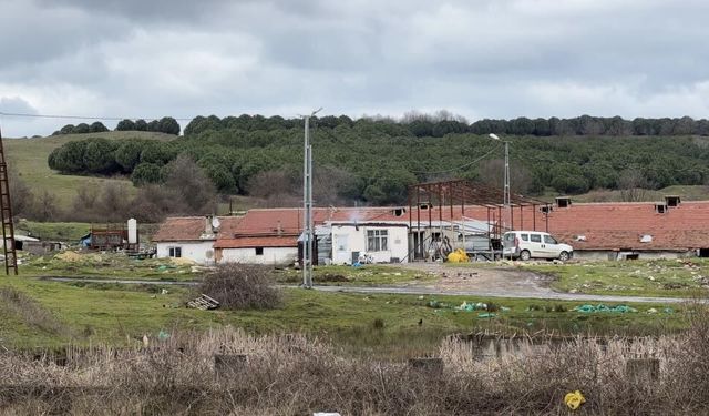 Çiftlikte 'Teksas Katliamı' filmini hatırlatan dehşet