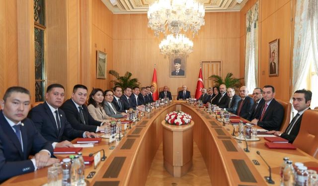 ‘Demokrasiye aykırıdır’